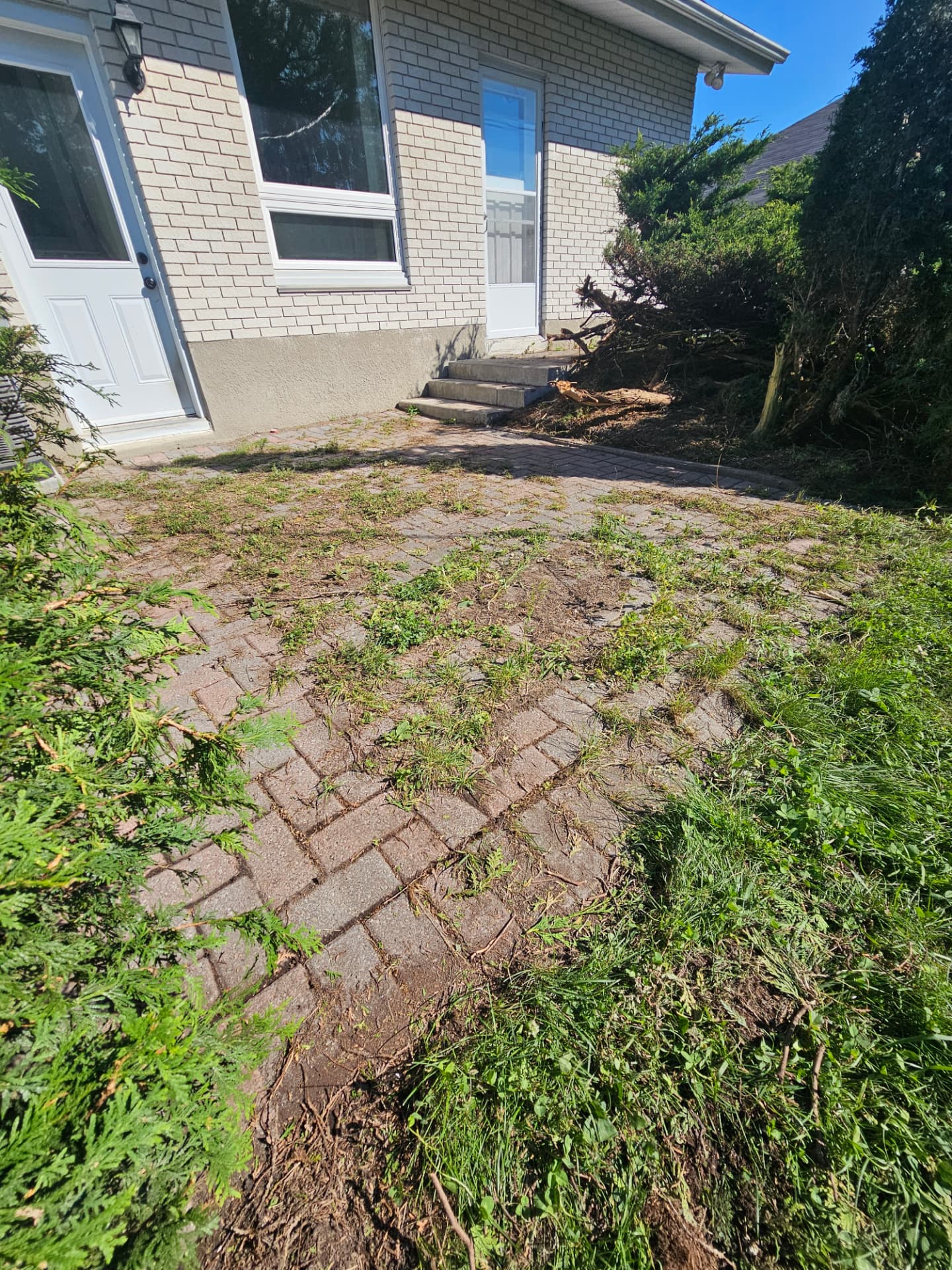 Back Door Patio Lift & Re-Level before