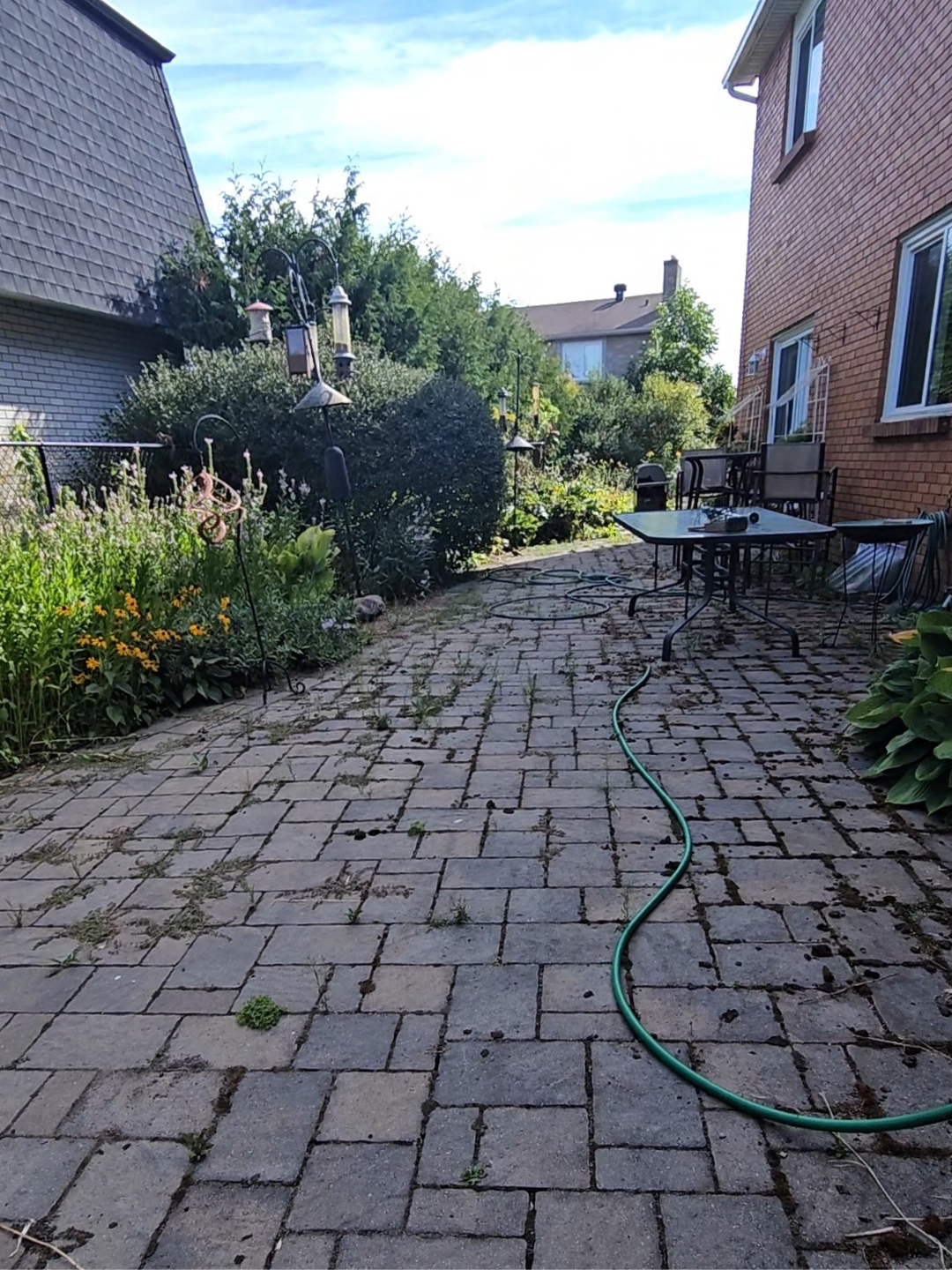 Featured Ottawa interlock restoration before