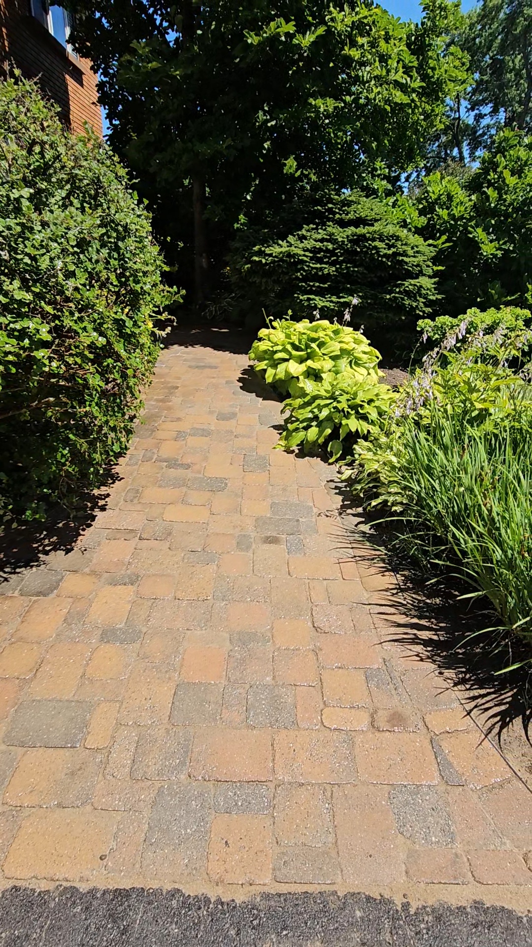 Lori walkway restoration after