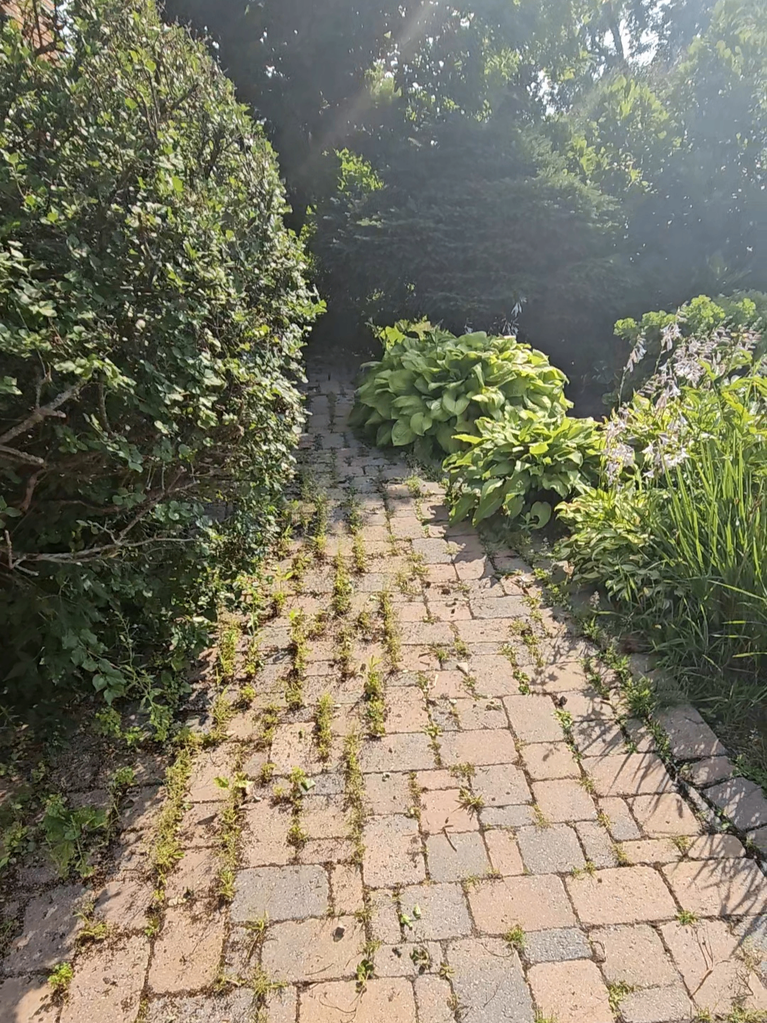 Lori walkway restoration before